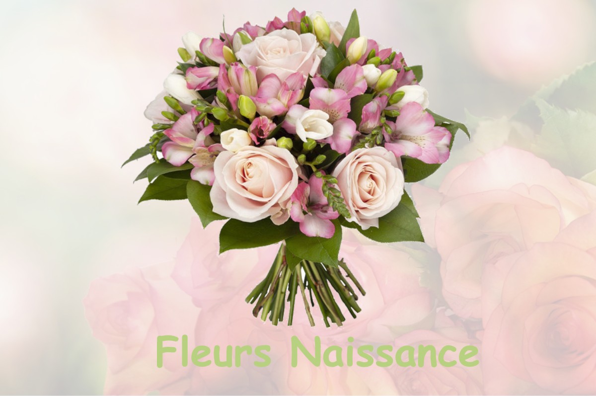 fleurs naissance VALLEROY-AUX-SAULES